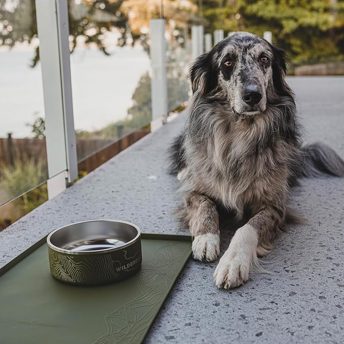 Wilderdog Silicone Pet Placemat Made with 100% Food-Grade Silicone Cone, BPA, PVC, and Phthalate-Free. Non-Toxic, Dishwasher Safe Feeding mat for Bowls with Spill Catcher and Raised Mountain Logo