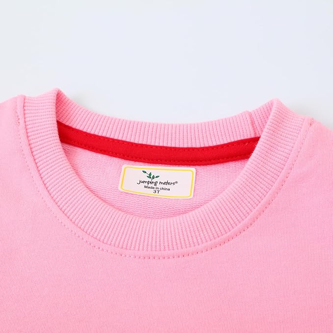 Toddler Baby Girls Cotton Sweater, Long Sleeve Crewneck Sweatshirt Pullover Kids Warm Clothing for Fall Winter