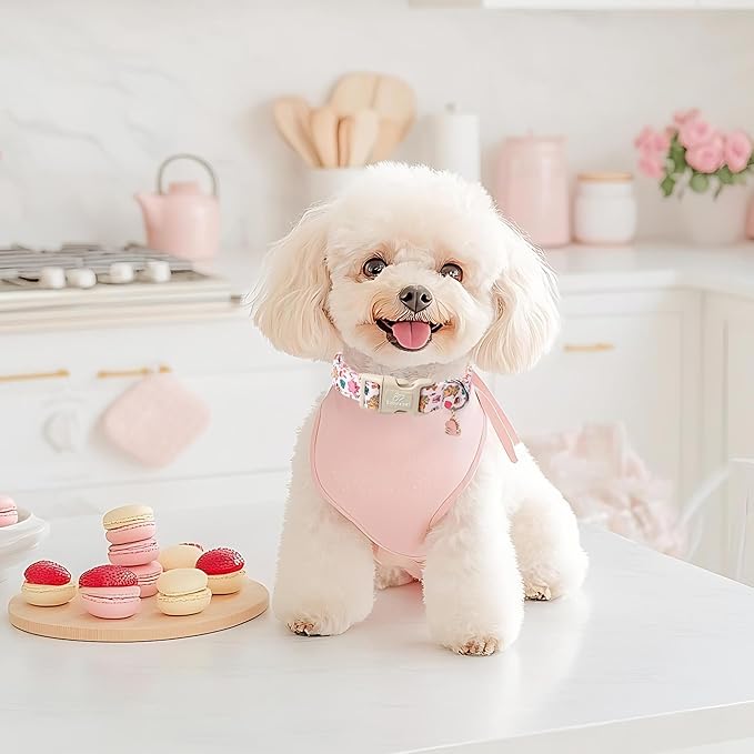 Cute Dinosaur Dog Collar, Adjustable Pink Dino Dog Collars for Small Dogs, Lightweight Quick-Release Buckle Birthday Collar for Boy&Girl Dogs S