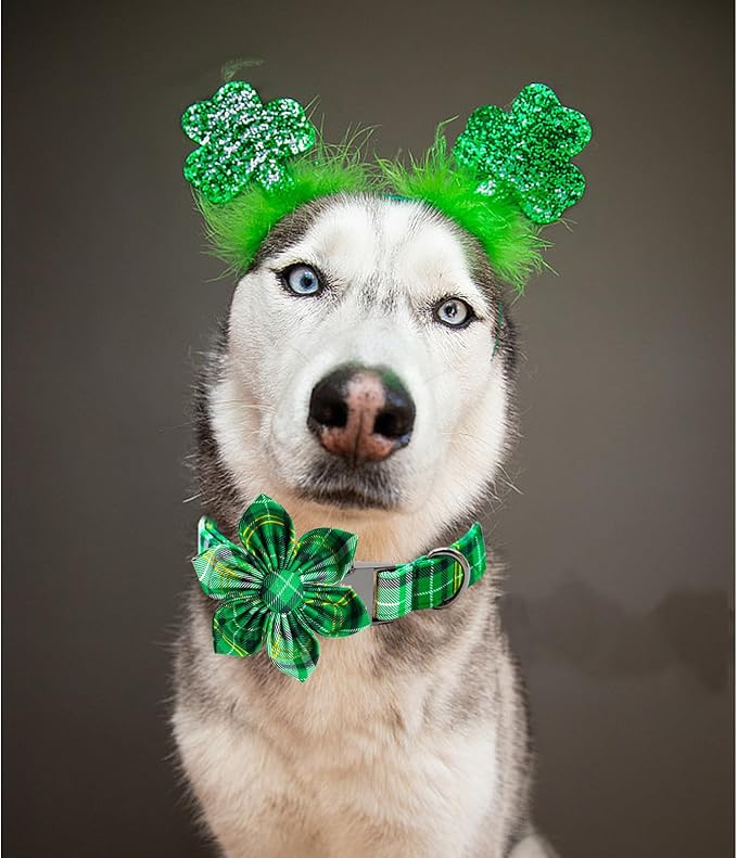 Lionheart glory St. Patrick's Day Dog Collar with Flower Dog Collar for Large Dogs, Green Plaid Cute Collars Spring Dogs Collars Flower Puppy Heavy Duty Cute