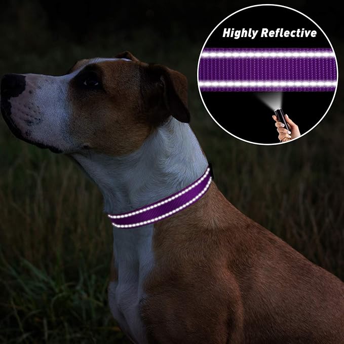 TagME Reflective Nylon Dog Collars, Adjustable Classic Pet Collar with Quick Release Buckle for Large Dogs, Purple, 1.0" Width