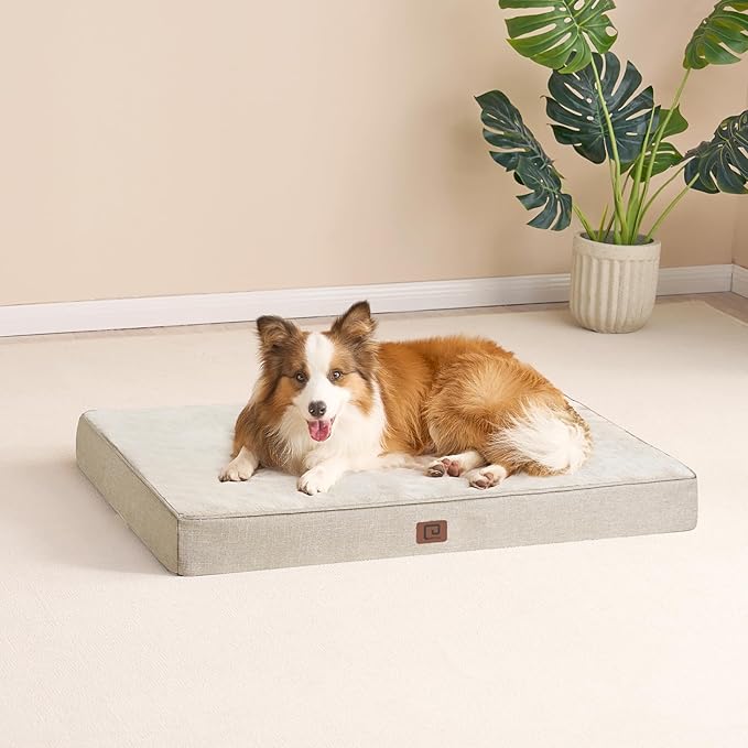 EHEYCIGA Waterproof Dog Bed Orthopedic 47"x29", Memory Foam Pet Bed for XXLarge Dog Bed, Washable Pet Mat with Removable Cover, Beige