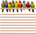 Sintuff 8 Pcs Bird Perches for Cage Accessories, Wooden Perch Rods Replacement with Double Head Slots, 0.6 Inch Diameter Natural Wood Stand for Parrot Macaw Cockatoo Parakeet(18 Inches)