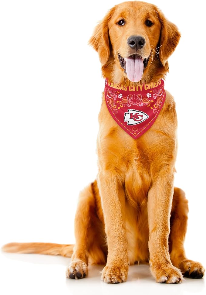 Littlearth NFL Denver Broncos Pet Bandana