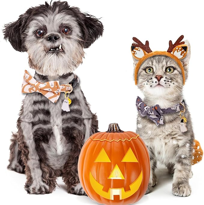 Faygarsle 2 Pack Halloween Breakaway Cat Collar Collection Ghosts Pattern Cute Cat Collar with Bell for Kittens Female Male Cats Seasonal Holiday Bowtie Fall Cat Collar Orange Gray
