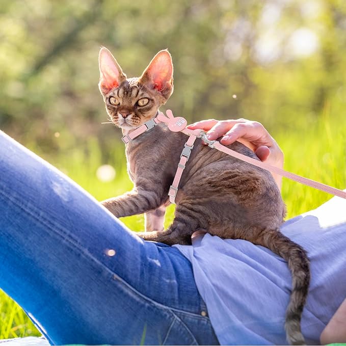 TIESOME Cat Harness and Leash Set, Adjustable Gradient Kitten Harness Escape Proof Harness with Leash for Kitty Outdoor Walking (Rabbit)