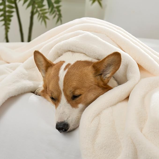 Waterproof Pet Blanket, Ultra Soft Luxury Faux Fur Throw Blanket for Couch, Cozy Warm Plush Blanket for Sofa Bedroom Living Room, Liquid Pee Proof for Large Dog or Cat, 40x60 inch, Cream
