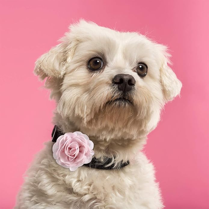 Leinuosen 14 Pcs Flower for Dog Collar Pet Collar Flowers Charms Multi Color Bow Tie for Cat Puppy Dog Grooming Accessories