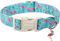DOGWONG Spring Summer Dog Collar-Cute Flamingo Dog Collar, Adjustable Soft Beach Hawaiian Dogs Collars for Medium Dogs, M