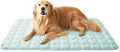 Bedsure Cooling Mat for Large Dogs – 48x30 Thin Washable Cooling Pet Pad for Puppy, QMAX>0.5, XXL Portable Kennel Puppy Bed for Summer, Non-Slip Summer Crate Pad for Big Dog Up to 100 lbs