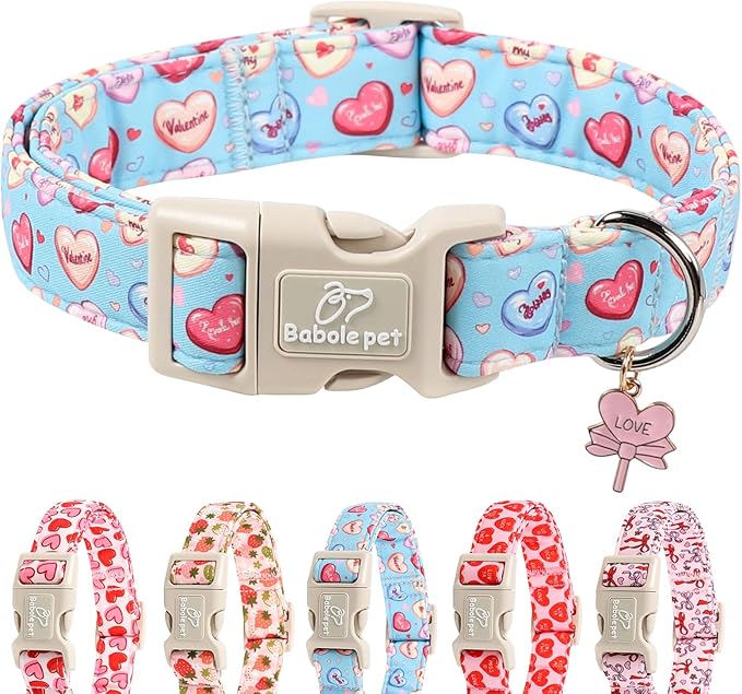 Valentines Dog Collar for Medium Dogs - Valentine Candy Hearts Dog Collars, Love Boy Girl Dogs Collars, Lightweight Adjustable Cute Blue Puppy Collar with Quick-Release Buckle M