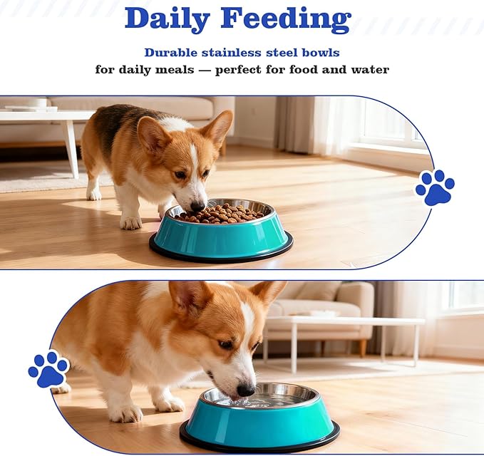 Puppy Supplies Starter Kit – Puppy Essentials and Dog Stuff Set for Small Dogs, Includes Bowls, Toys, Toothbrush, Treat Pouch and More, Welcome Home Gift for Your New Puppies - Blue