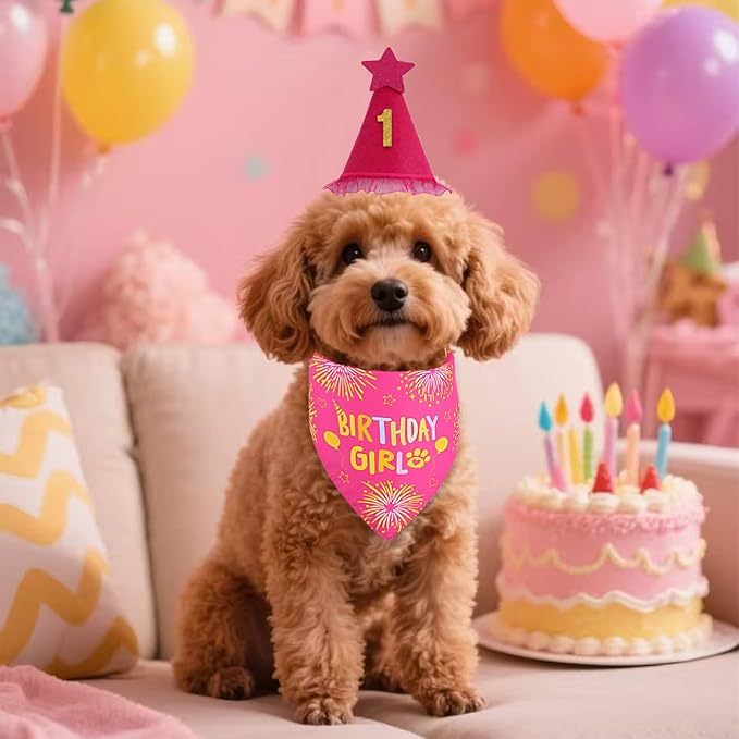Dog Birthday Bandana Set Rose Pink, Dog Birthday Party Supplies with Hat Bandana Numbers for Small Girl Pets Puppy