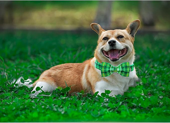 Lionheart glory Dog Bow Collar St. Patrick's Day Dog Collar for Medium Dogs, Adjustable Green Plaid Collars Spring Dog Collar with Bowtie Pet Collar Bows Cute Collars