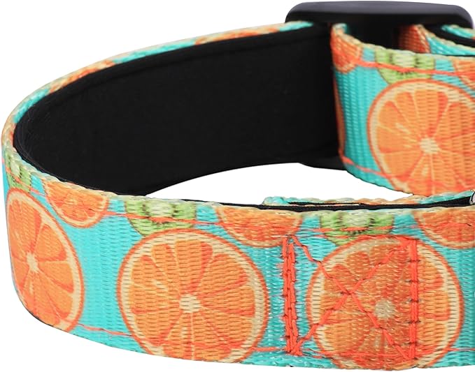 Reflective Dog Collar, Adjustable Soft Neoprene Padded Nylon Pet Collars with Buckle for Puppy and Small Dogs, Cats, Summer Lemon,L