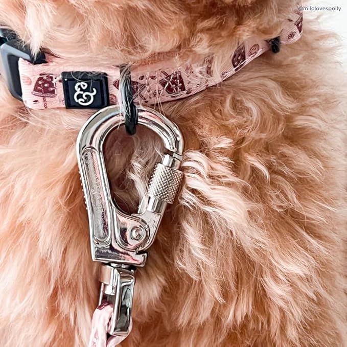 Lucy & Co. Dog Collar - Durable Lightweight Designer Collar for Pets - Adjustable Metal Safety Buckel. (Iced Coffee SZN Collar).