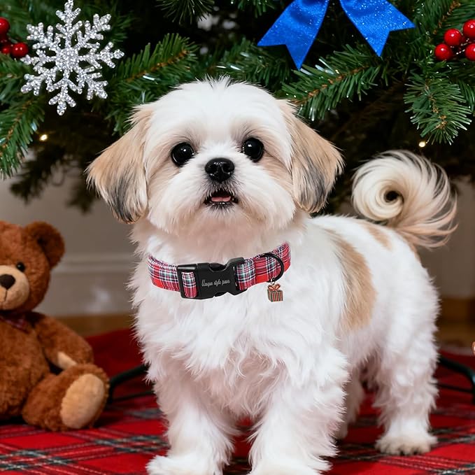 Christmas Dog Collar, Unique Style Paws Red Green Grids Dog Collar for Christmas Comfortable Red Pet Collar with Lightweight Plastic Buckle for Holiday, Fancy Dog Gift