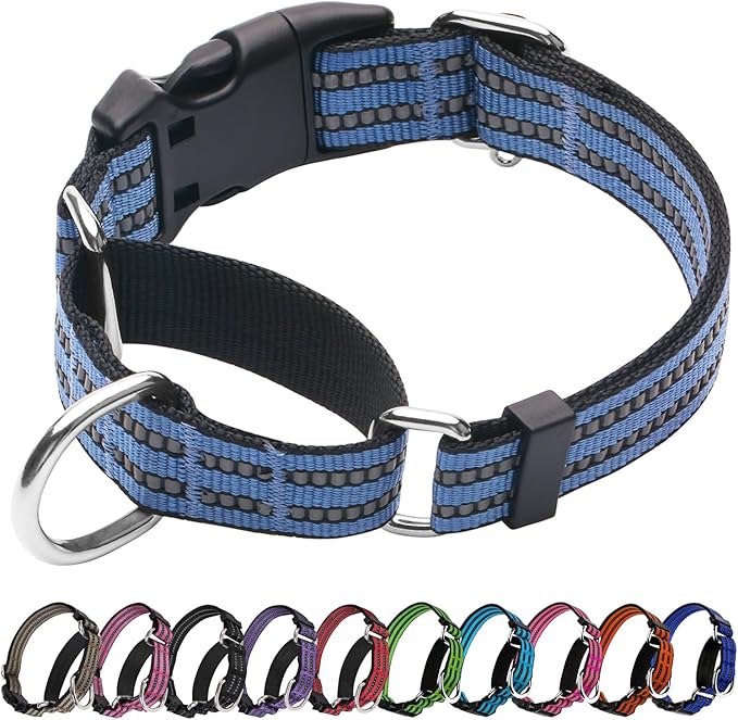 Martingale Dog Collar, Adjustable Nylon Reflective Collar with Quick Release Buckle (Grey Blue, Medium)