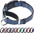Martingale Dog Collar, Adjustable Nylon Reflective Collar with Quick Release Buckle (Grey Blue, Medium)