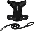 Voyager Escape-Proof Step-in Lock Cat Harness & 5ft Neoprene-Handle Leash Set All-Weather Mesh with Reflective Stitching for Small to Large Cats by Best Pet Supplies, Black, XXS