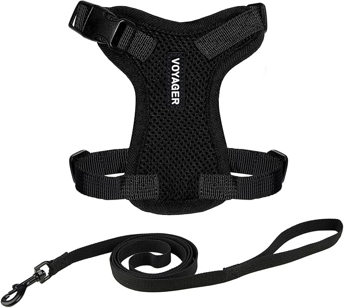 Voyager Escape-Proof Step-in Lock Cat Harness & 5ft Neoprene-Handle Leash Set All-Weather Mesh with Reflective Stitching for Small to Large Cats by Best Pet Supplies, Black, XXS