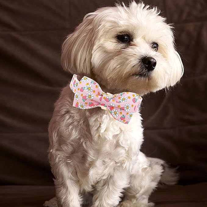 Lionheart glory Dog Collar Bow Collar Pink Dog Collar with Bow Tie Spring Summer Cute Collar Dog Female Soft Durable Adjustable Dog Collars for Large Dogs Pet Gift