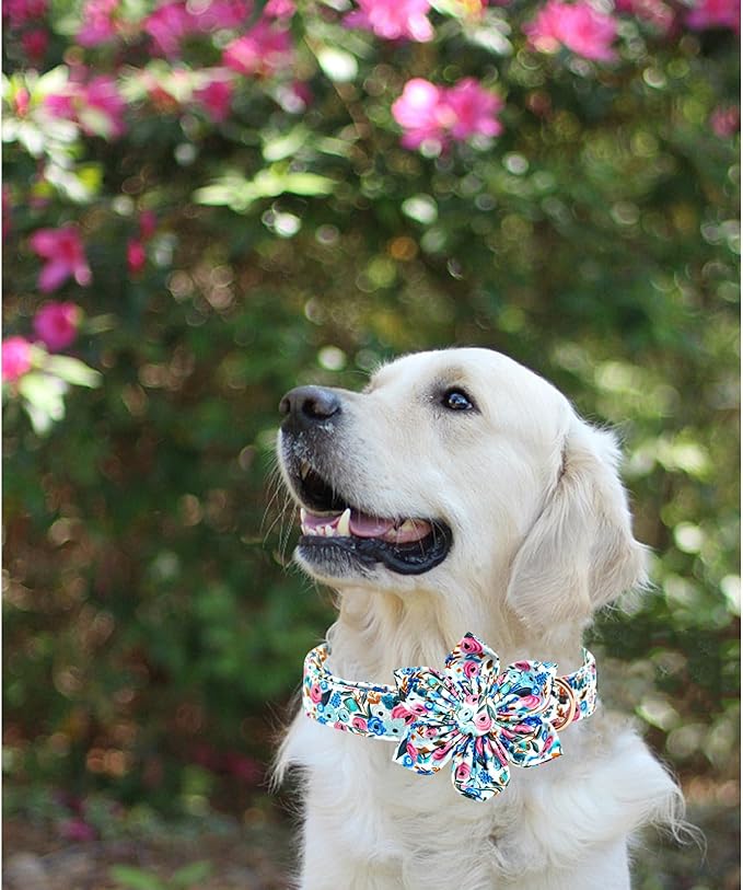 Lionheart glory Dog Collar Flowers Collar Floral Dog Collar with Flower Spring Summer Cute Collar Dog Boy or Girl Dog Collars Soft Durable Adjustable Dog Collars for Large Dogs