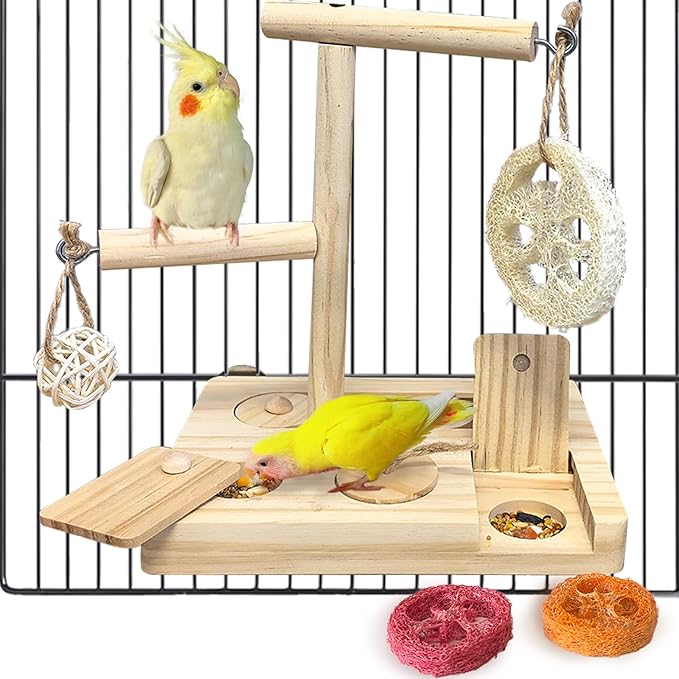 Bird Foraging Toys Parrot Enrichment Puzzle Toy Bird Playground Exploring Platform with Perch Chewing Toy for Small Birds Parakeet Cockatoo Budgie