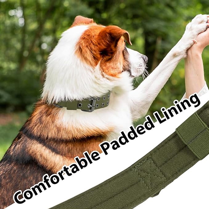 Tactical Dog Collar with Handle, Military Adjustable Heavy Duty Metal Buckle Dog Collars Soft Nylon Training Collar for Medium Large Dogs (Green, Large)