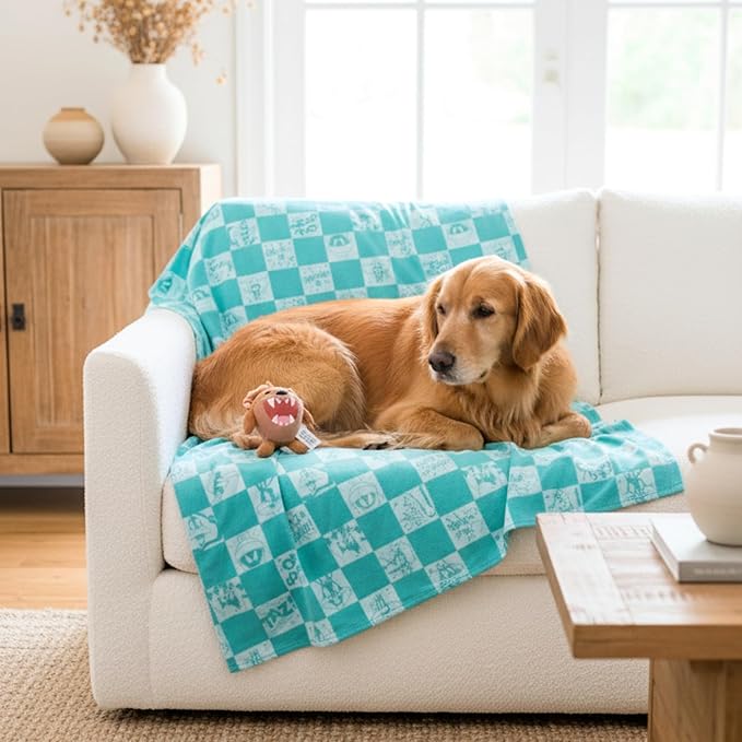 Looney Tunes Taz Tasmanian Devil Pet Throw & Pet Toy Pillow Set - 40in x 50in Super Soft Cozy Throw Blanket for Dogs & Cats - Couch/Bed/Car, (Officially Licensed Product) by Franco Pet