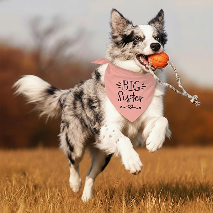 Big Sister Dog Bandanas, Pet Dog Triangle Scarf for Small Medium Large Pet, Baby Announcement Dogs Bandana Pets Scarf (Big Sister)