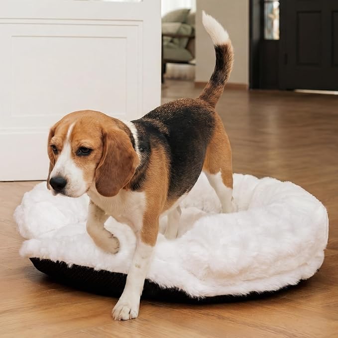 Dog Bed Couch Sofa for Small Medium Dogs and Cats Round Plush Orthopedic Sofa Pet Bed Washable Puppy Bed with Removable Cover Anxiety Relief Dog Couch Pet Furniture for Indoor Pets 30 x 30 x 9 White