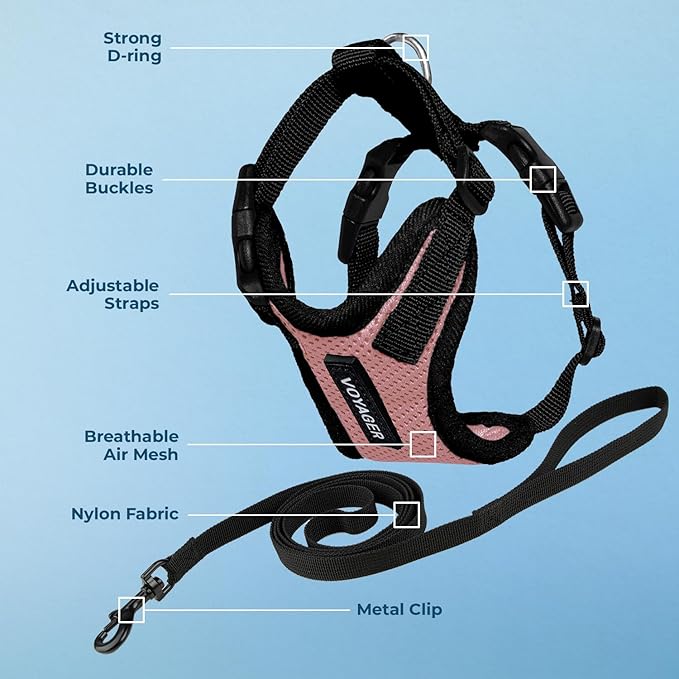 Voyager Escape-Proof Step-in Lock Cat Harness & 5ft Neoprene-Handle Leash Set All-Weather Mesh with Reflective Stitching for Small to Large Cats by Best Pet Supplies, Pink/Black Trim, XXS
