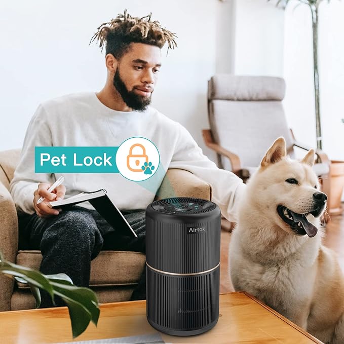 AIRTOK 2 Pack Air Purifier for Home Bedroom, Office Desktop Air Cleaners with 12pcs Fragrance Sponge, H13 HEPA Filter, 4 Stage Filtration up to 376 sqft Black Available for California