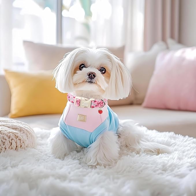 Strawberry Bow Dog Collar for Large Dogs - Cute Pink Spring/Summer Girl Dog Collars, Lightweight Adjustable Female Girly Dogs Collars with Quick Release Buckle L