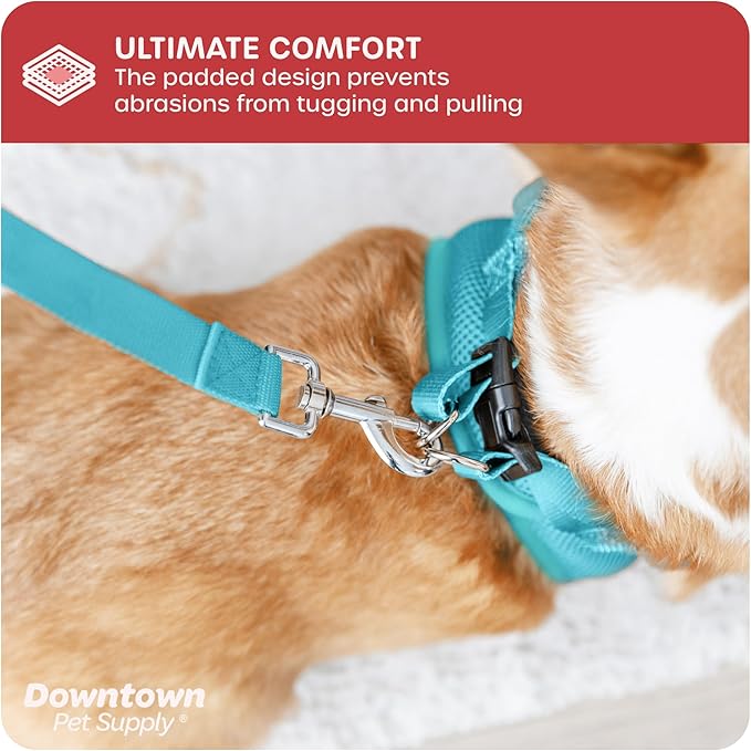 Downtown Pet Supply Step-in Dog Harness – No Pull, Adjustable Padded Mesh with Reflective Trim, Secure Buckle Strap – Comfortable & Breathable Small Dog Harness, X-Small, Light Blue
