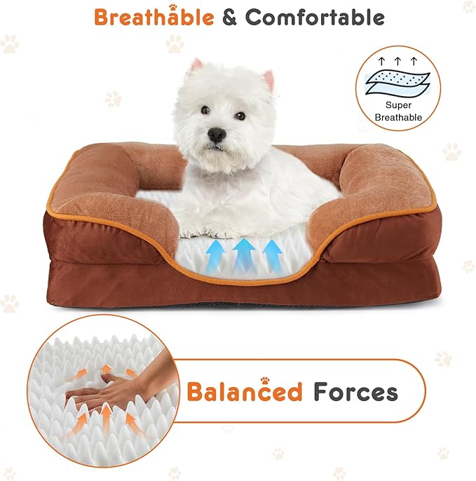 Sweetcrispy Orthopedic Dog Bed, Large Memory Foam Puppy Cat Bed with Washable Waterproof Removable Cover & Non-Slip Bottom for Pet Calming Sleeping (35"x25", Brown)
