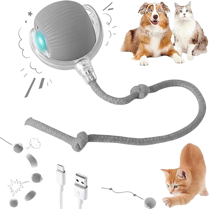 Interactive Electric Automatic Rolling Moving Rechargeable Self Play Stimulation Toy,Smart Pet Chase with Speedy Tail Rope for Bored Indoor Cats (Grey)