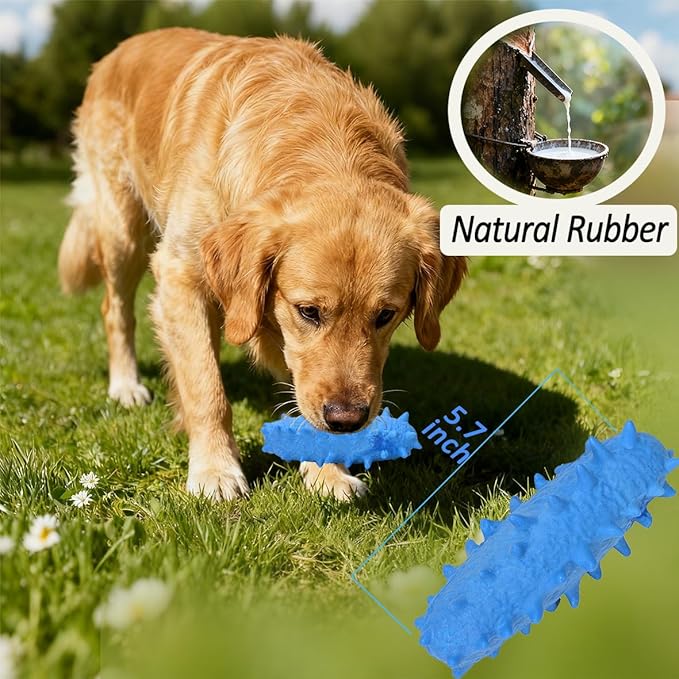 2 Pack Dog Toys for Aggressive Chewers, Tough Puppy Chew Toys Teething Bone for Puppies, Soft Foaming Rubber Interactive Toys for Small Medium Breed (Blue)