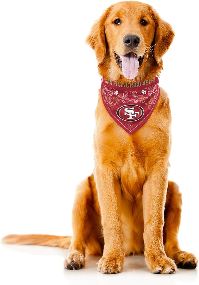 Littlearth NFL Denver Broncos Pet Bandana