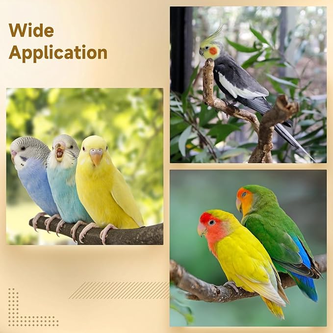 5 PCS Wood Bird Perches, Natural Grape Wood Branches with Mounts, Bird Stand and Paw Grinding Accessories, Cage Perches for Parakeet, Cockatiel, Conure, Budgie