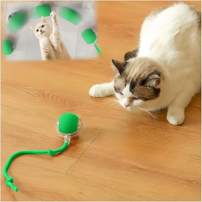 Interactive Cat Toys for Indoor Cats, Agility Move Cat Balls,Motion Activated Cat Balls, Cat Toys for Bored Indoor Cats（Green）