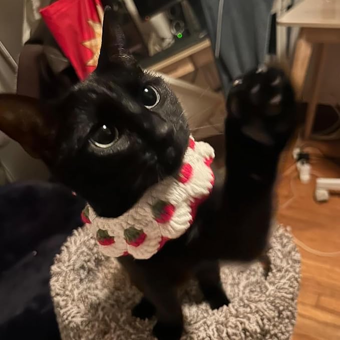 Cat Collar Breakaway, Kitten Collar with Cute Bow Tie Strawberry Pattern Comfortable for Kitty and Small Puppies, Bandana Fits Neck 2-3 Inches (White)
