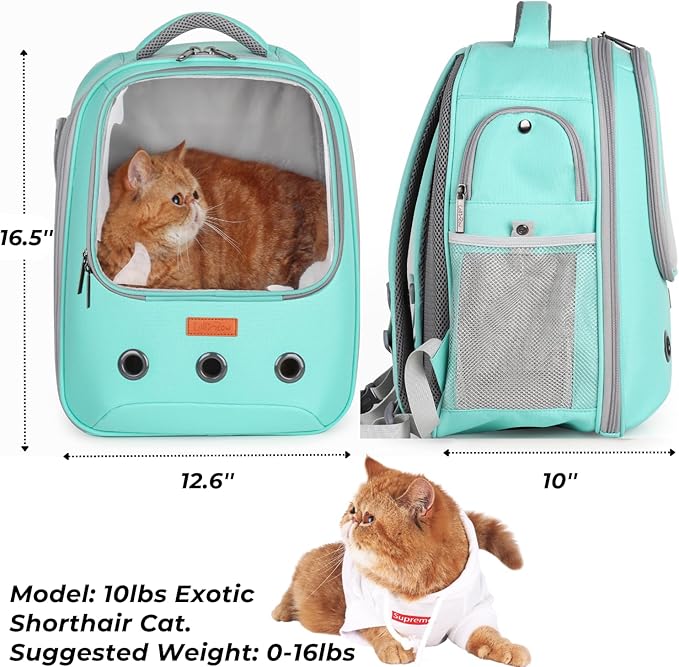 Lollimeow Pet Carrier Backpack, Bubble Backpack Carrier, Cats and Puppies,Airline-Approved, Designed for Travel, Hiking, Walking & Outdoor Use (Green)