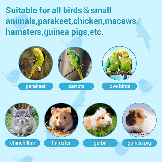 2 Pcs Parrot Feeder Chew Toy Balls, Bird Foraging Interactive Toys, Suitable for Small Animals and Small&Medium Birds,Parakeet,Parrots,Lovebirds,Macaws,Hamsters,Guinea Pigs