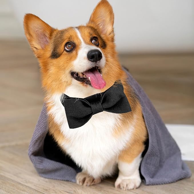Segarty Bow Ties for Dogs Neck Girth 10.2-14.2in, Adjustable Black Bowtie Collar for Small Medium Dogs, Cat Tie Tuxedo Comfortable Pets Bow Grooming Accessory for Formal Wedding Holiday Birthday Party