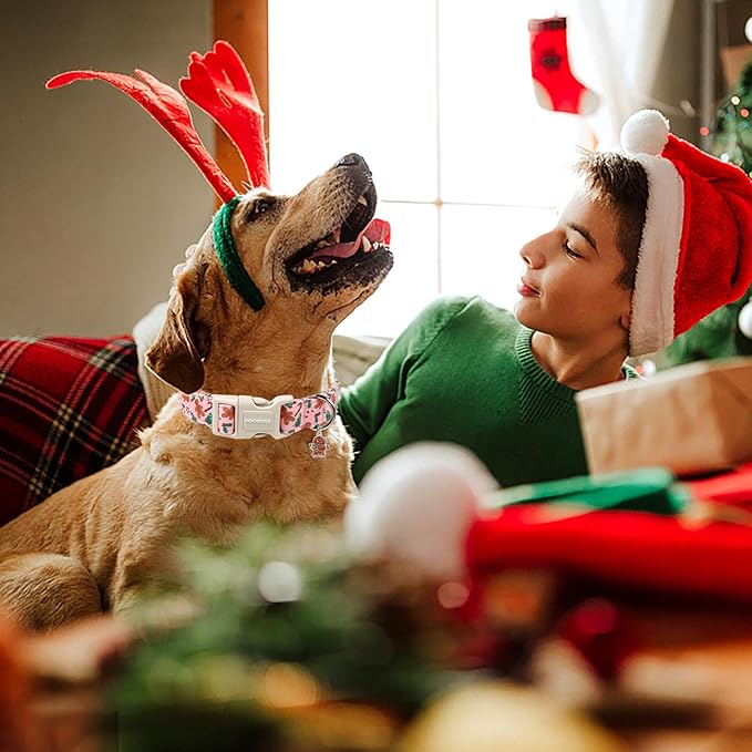 DOGWONG Christmas Dog Collar, Pink Gingerbread Man Pet Dog Collar Cotton Soft Dog Collars Winter Holiday Collars for Small Medium Large Dogs