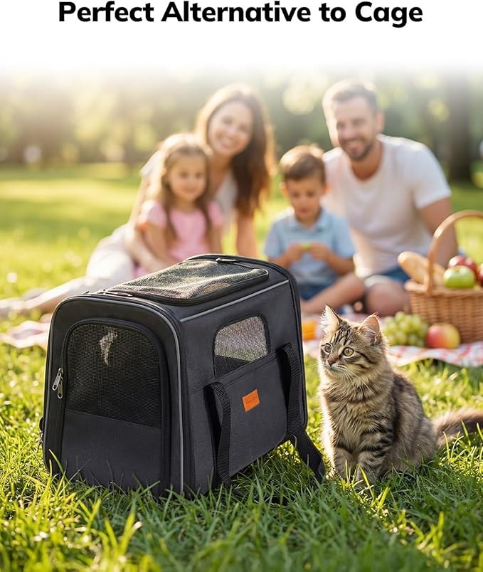 Morpilot Cat Carrier - Cat Carrier Soft for Small or Medium Cats up to 16lbs, with Sided Cushion, Secure Buckle and Foldable Bowl, Dog Carriers for Small Dogs (Dark Gray)
