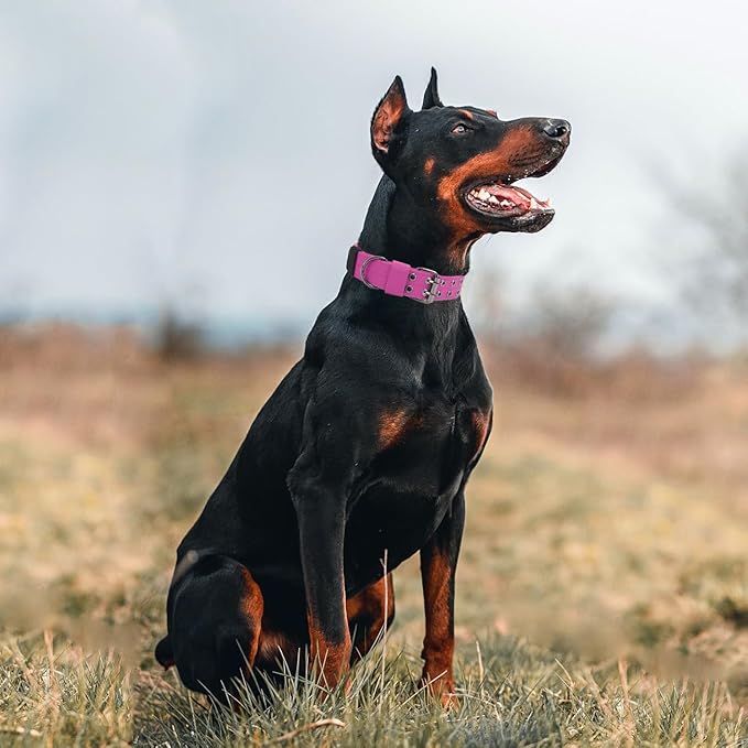 Tactical Dog Collar with Handle, Military Adjustable Heavy Duty Metal Buckle Dog Collars Soft Nylon Training Collar for Medium Large Dogs (Pink, Medium)