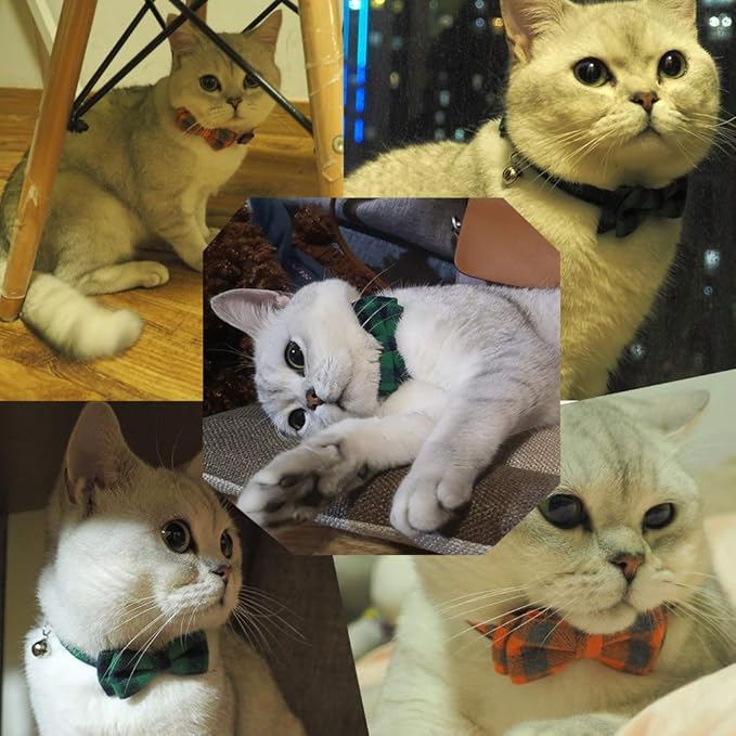 Pipidog Cat Collar Breakaway with Bell and Bow Tie, Plaid Design Adjustable Safety Kitty Kitten Collars(6.8-10.8in) (Green&Cyan Plaid)